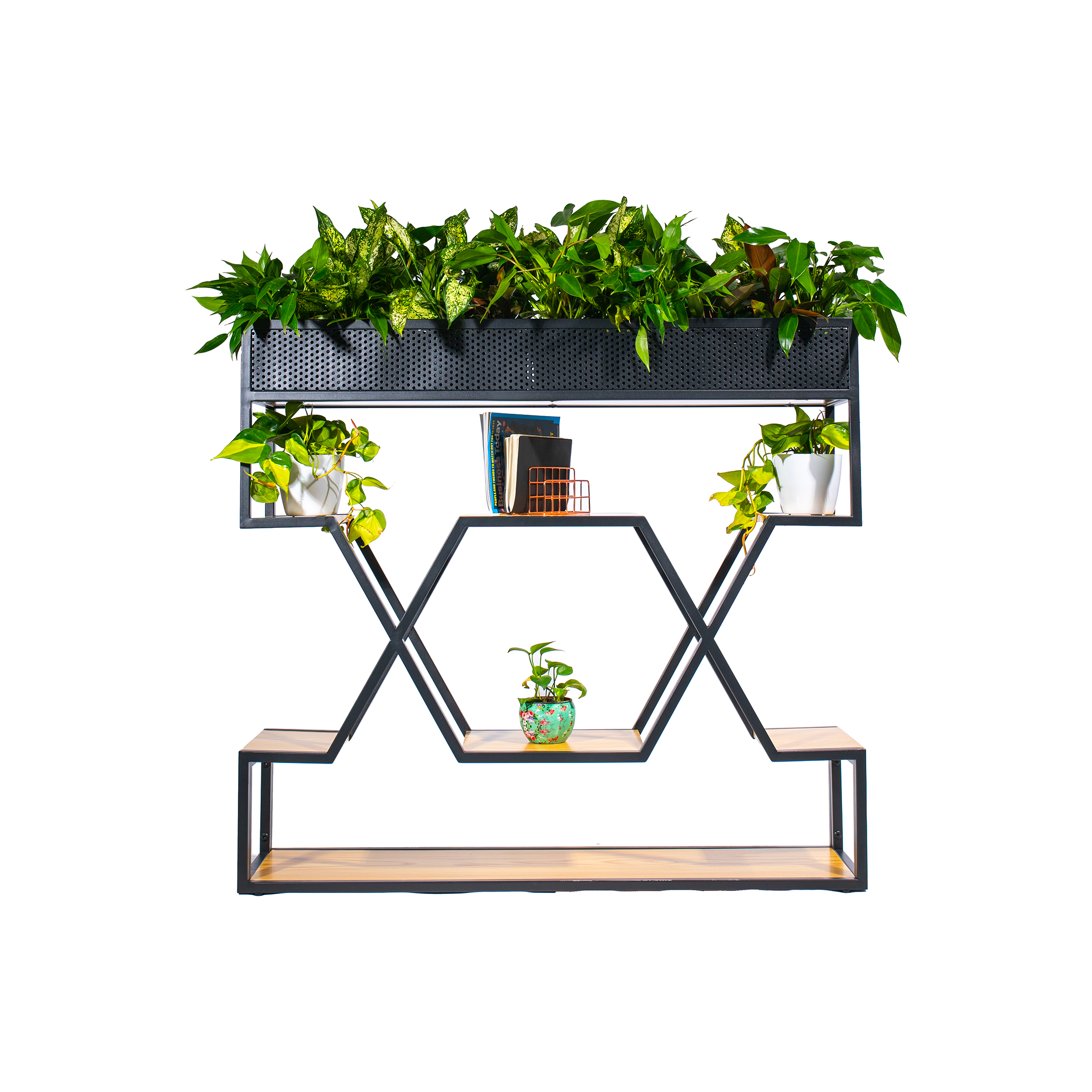 A geometric shelves unit with hexagonal metal frames, holding potted plants on each side. The top features lush green plants, conveying a modern, eco-friendly vibe.