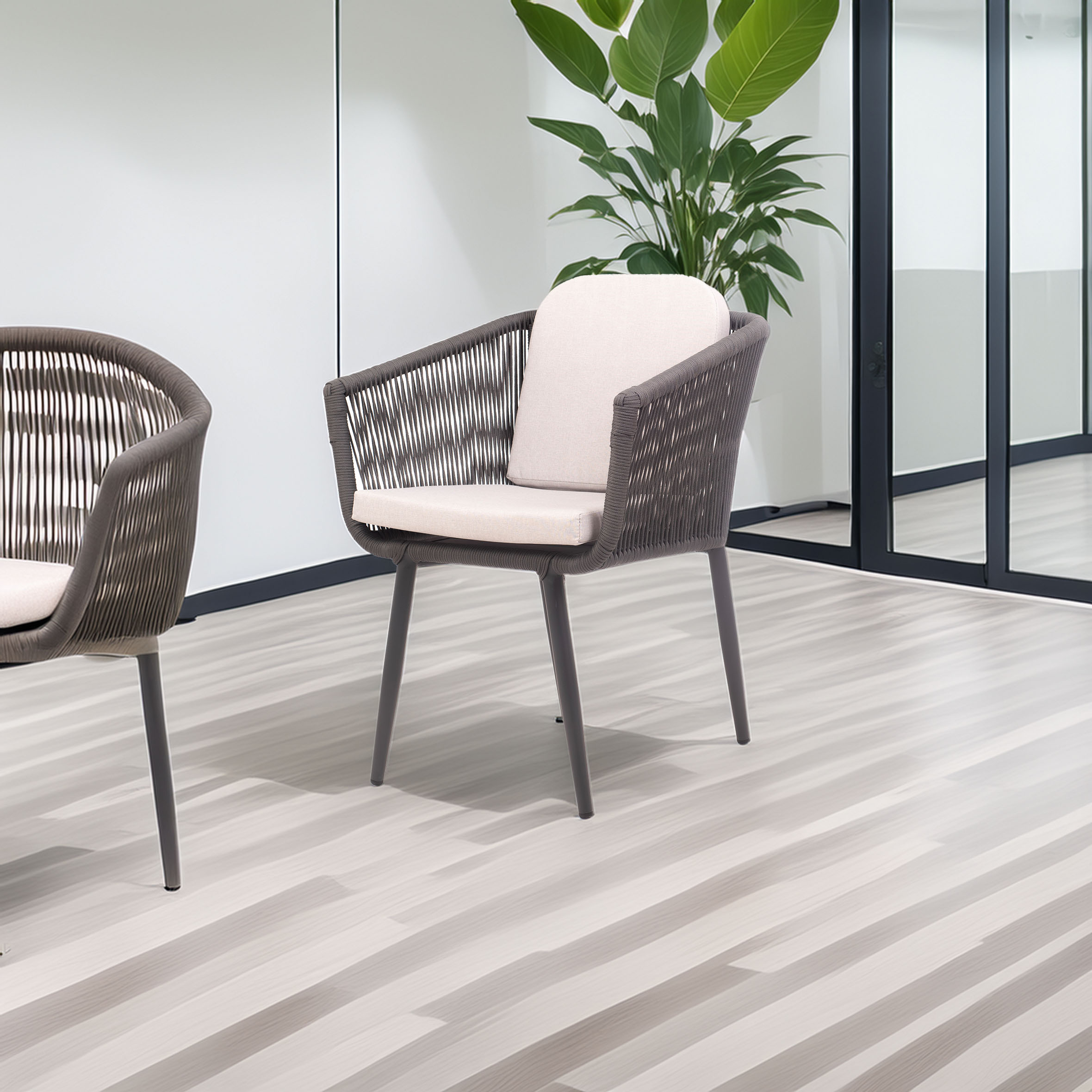 A modern room with a woven chair and plush cushion on a light wood floor. A tall green plant and glass doors create a serene, contemporary vibe.